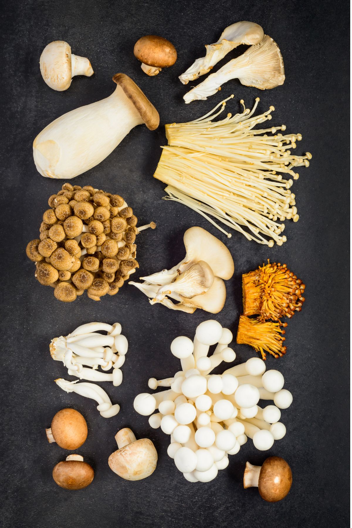 Are mushrooms low fodmap.