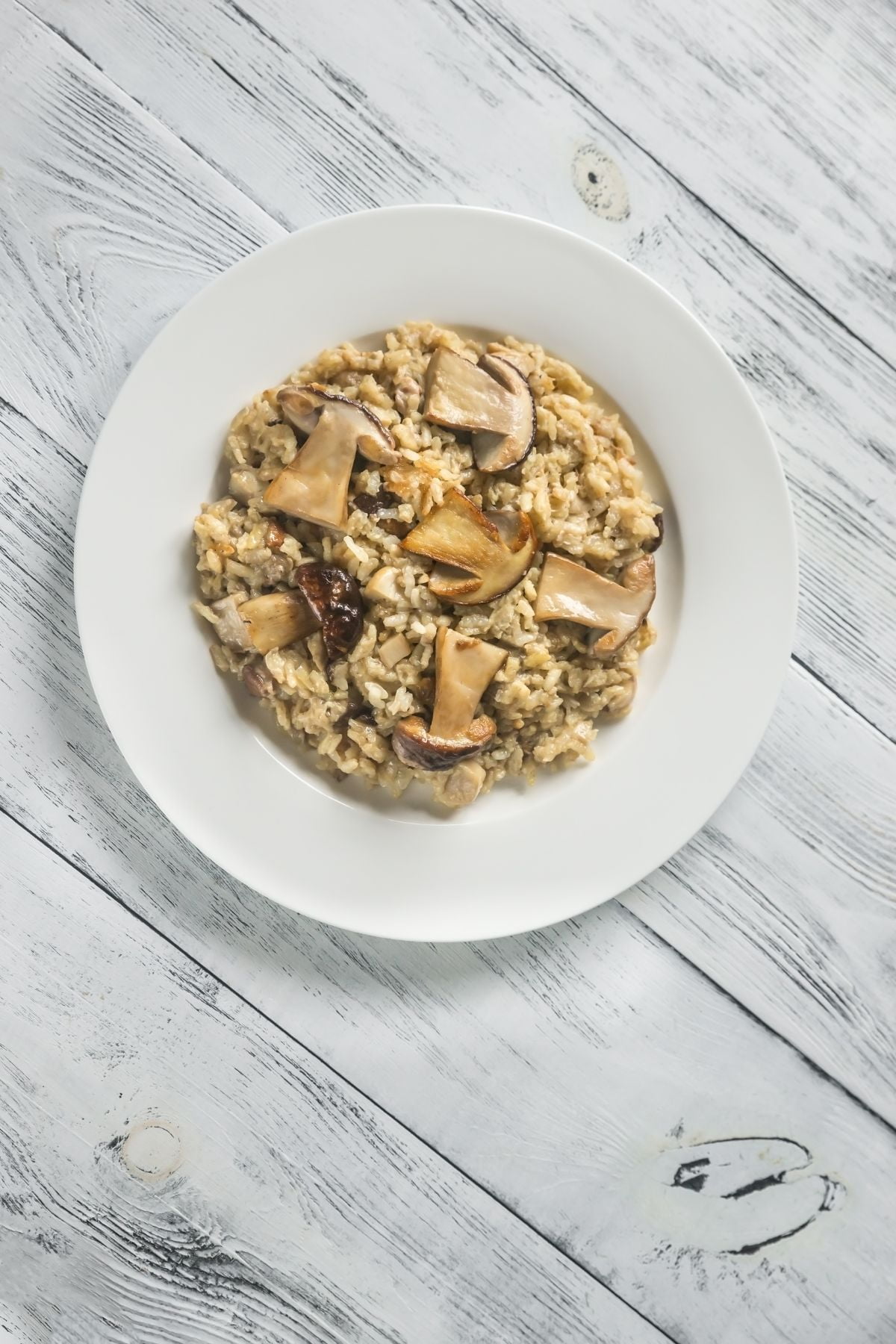 High fodmap mushrooms- shiitake portobello enoki and dried.