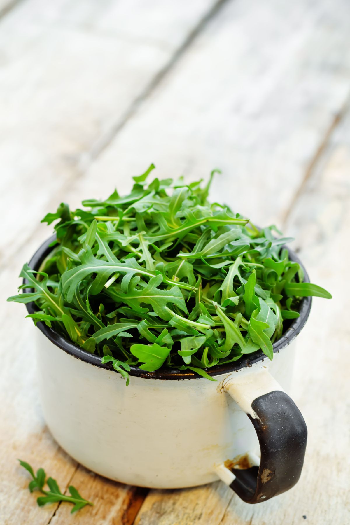 Is arugula low fodmap.