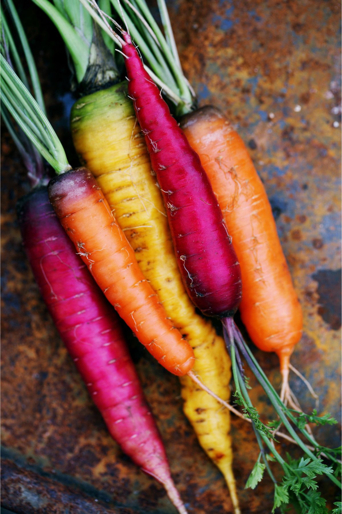 Purple carrots low fodmap.